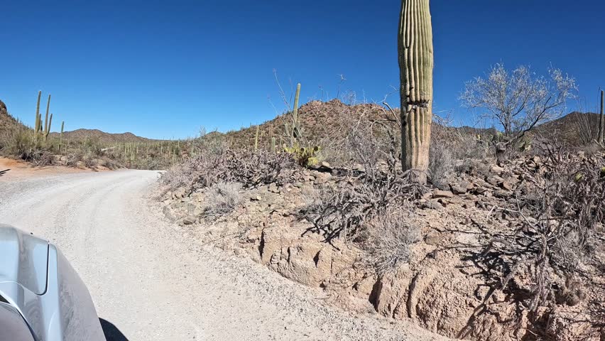 Visiting Saguaro National Park Near Tucson Arizona, Views of Sonoran Desert and Cactus from Car Window