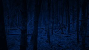 POV Walking In Dense Woodland At Night - Powered by Shutterstock - Get 15% off with code: PIKWIZARD15