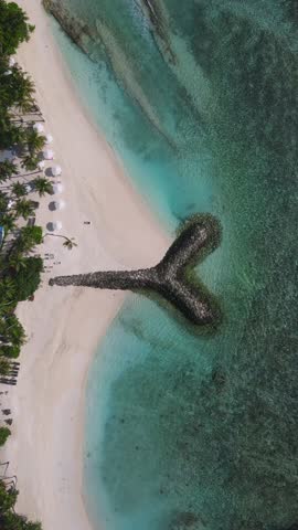 Aerial view of a tropical beach with white sand, palm trees and parasols. Seascape with a breakwater. Thulusdhoo island. Maldives.Vertical video