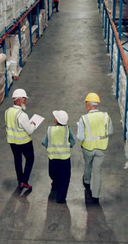 Back, people and quality control in warehouse for logistics, manufacturing and stock management for delivery. Group, inspection and packaging for freight, supply chain or shipping company in industry