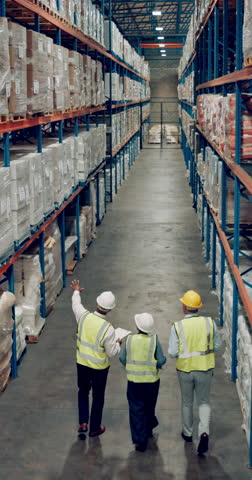 Back, people and quality control in warehouse for logistics, manufacturing and stock management for delivery. Group, inspection and packaging for freight, supply chain or shipping company in industry