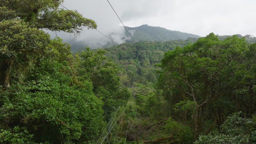Experience the exhilarating thrill of ziplining high above the stunning and lush rainforest of Costa Rica, where breathtaking views and excitement await every intrepid adventurer