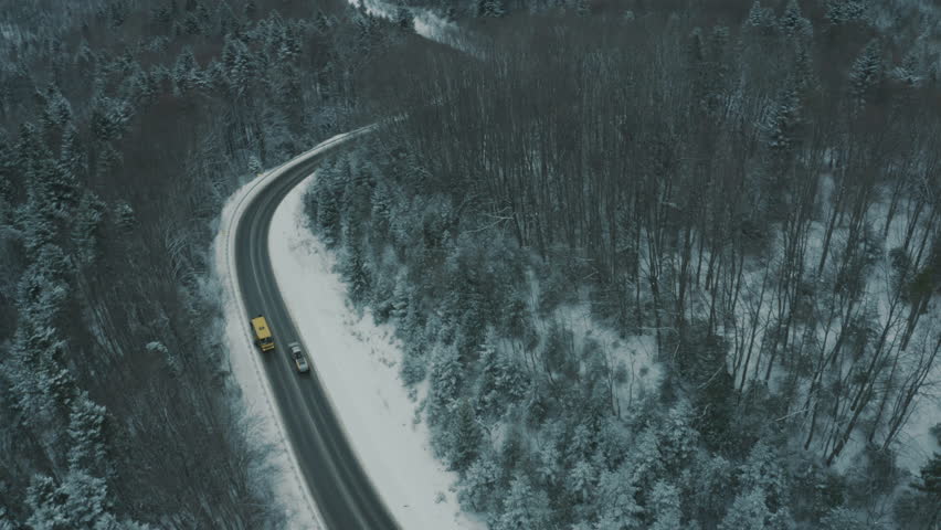 Shutterstock Video