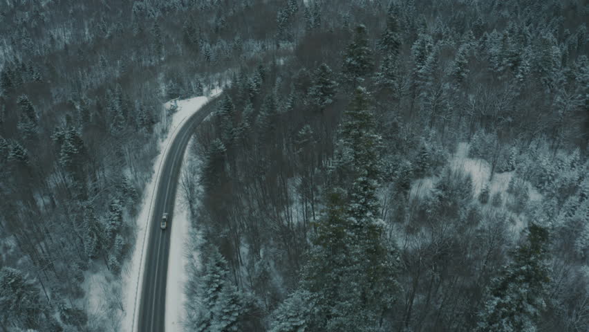 Shutterstock Video