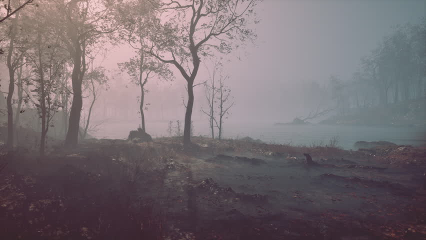 A serene riverbank enveloped in mist during early morning hours, with silhouettes of trees and soft light creating a tranquil atmosphere. Wildlife can be faintly seen in the distance.