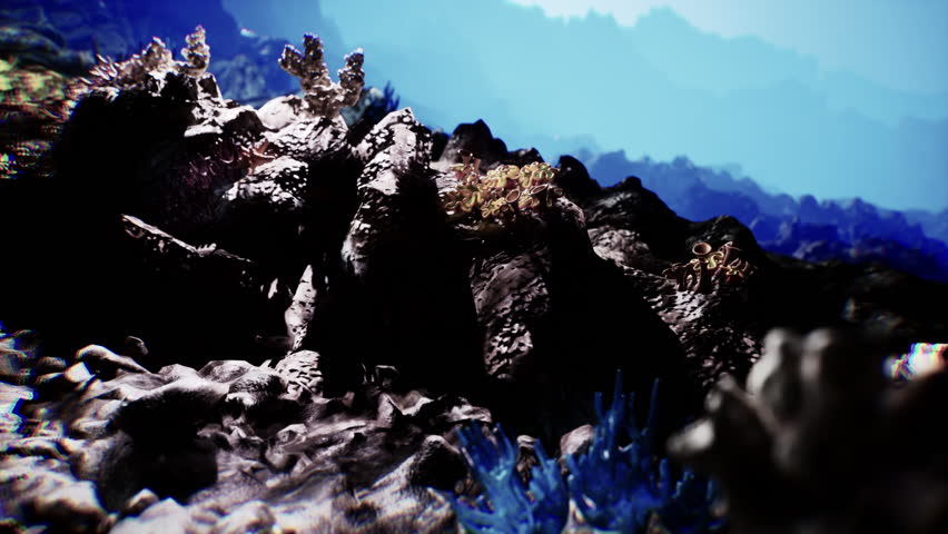 Diverse sea life thrives in a vibrant underwater environment. Corals and rocky formations create a complex habitat rich in textures and colors, showcasing the beauty of marine ecosystems.