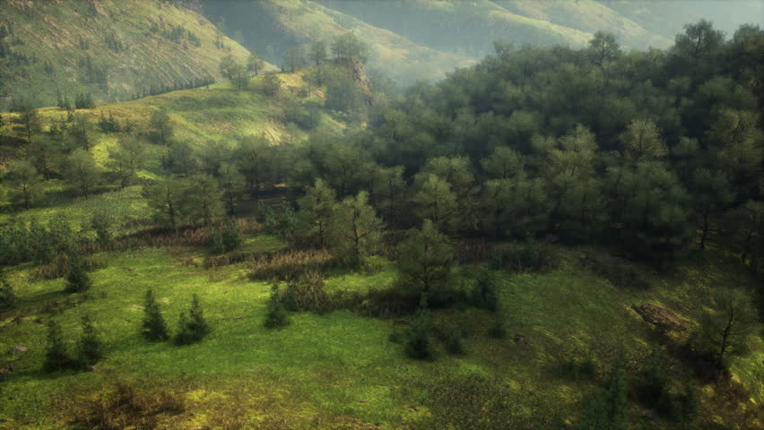 This image showcases a stunning aerial perspective of a lush green valley covered in a coniferous summer forest in the German Alps.