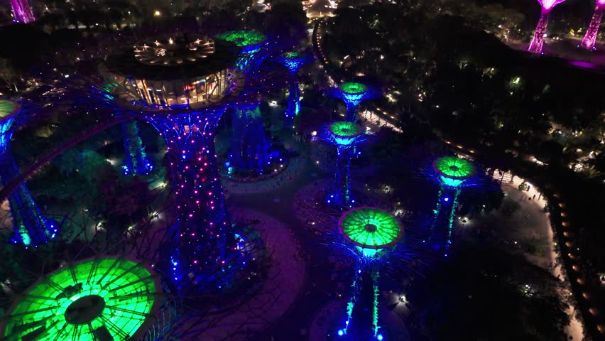 Supertree Grove Light Show glowing in the night in Singapore