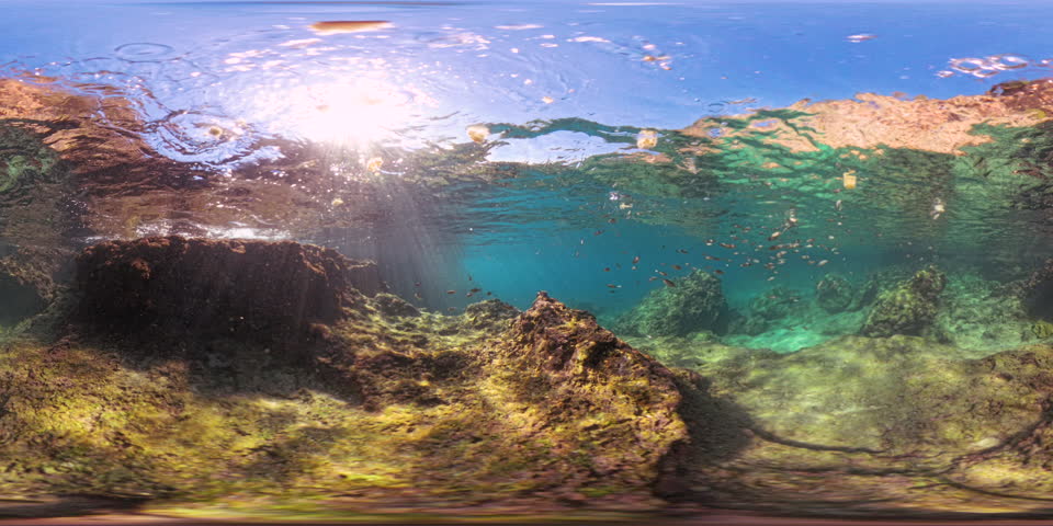 A stunning 360-degree underwater shot with sunlight beaming through the water, illuminating a school of fish and vibrant coral reefs below, showcasing marine life in motion.