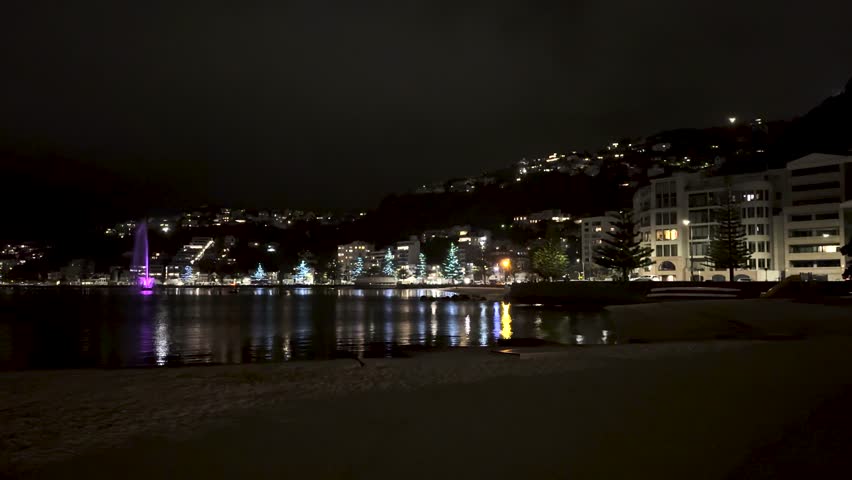 Night lights glittering in the ocean view coastal area in the port city of Wellington, New Zealand.
