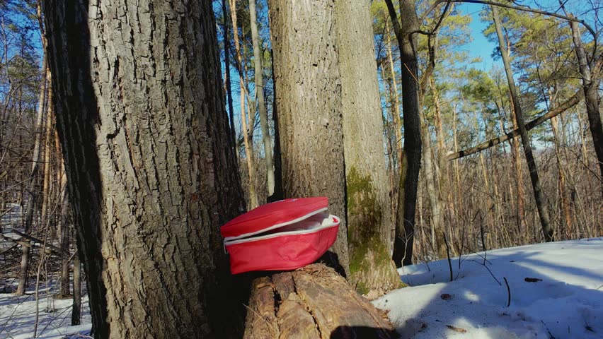 A person, excited, opens a red pack while seated on a log in a snowy forest, surrounded by natures beauty, ready for an adventure filled with exploration and new experiences