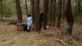 Family working together to clean up fallen branches in the forest during a chilly autumn day - Powered by Shutterstock - Get 15% off with code: PIKWIZARD15