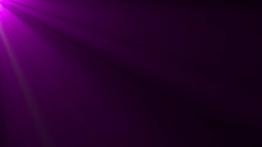 Shutterstock Video
