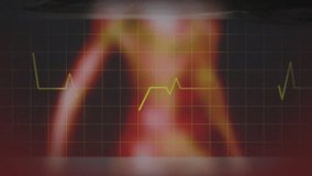 Heartbeat graph animating over sunset landscape with grid overlay in background. animation, digital, technology, healthcare, cardiogram - Powered by Shutterstock - Get 15% off with code: PIKWIZARD15