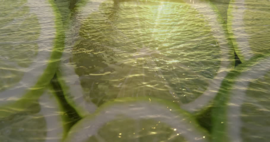 Sunlight reflecting on rippling water with sliced lime floating on surface. Refreshing, citrus, hydration, aquatic, serene, summer