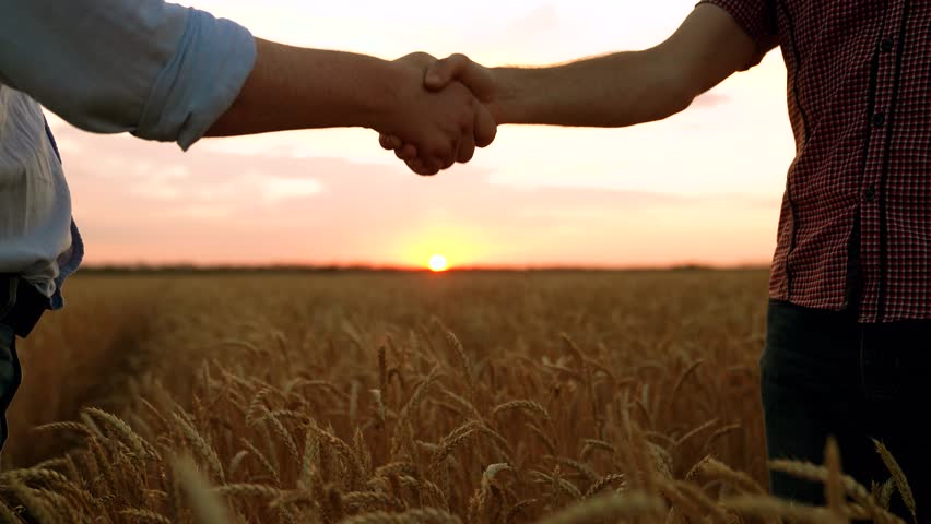 Business people shake hands outdoor in sun. Business teamwork. Male farmers shaking hands, wheat field. Handshake, joint work of people. Partners agreed concluding deal, sign of consent to shake hands