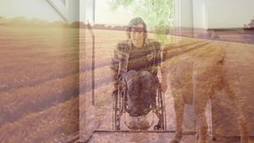 In animation, person in wheelchair with dog on sunny field background smiling. Disability, companionship, nature, happiness, mobility, outdoor - Powered by Shutterstock - Get 15% off with code: PIKWIZARD15