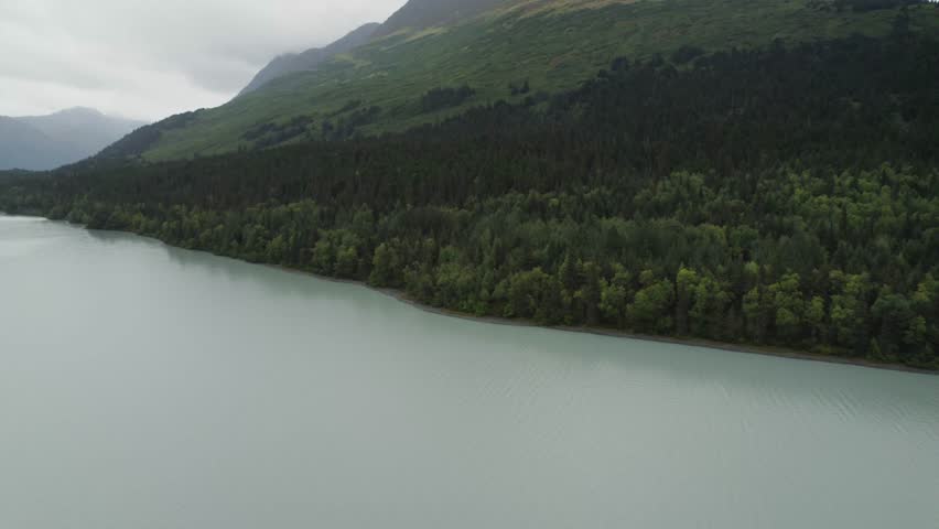 Forest-covered lake coastline in Alaska, aerial drone view