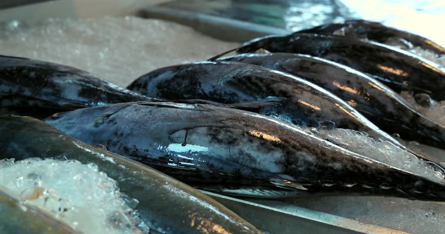 Fresh fish ice seafood market display close-up, food source raw ingredients healthy eating omega-3 market freshness texture.