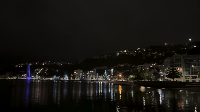 Night lights glittering in the ocean view coastal area in the port city of Wellington, New Zealand.