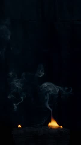 Shutterstock Video