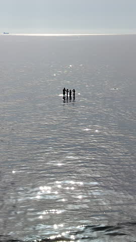 Vertical video, Silhouettes of young people standing on water surface far from shore in Ocean in morning time, Backlit (Contre-jour) Group of friends standing on water, peoples swims nearby