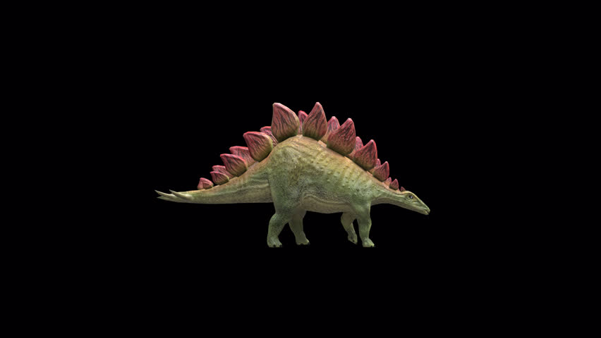 dinosaur stegosaurus walk loop 3D Transparent Alpha Video Animation