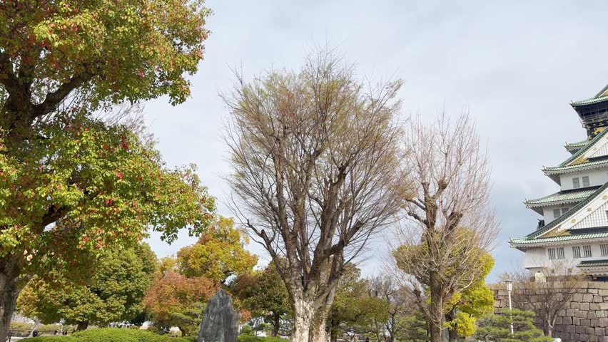 osaka japan Osaka Castle cherry blossoms spring 