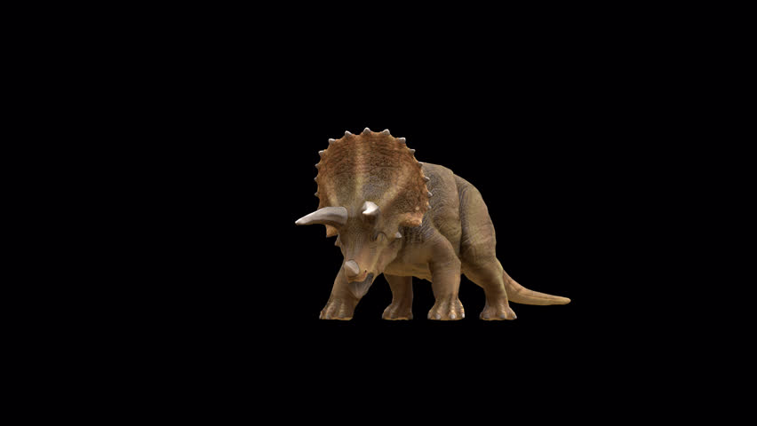 Triceratops Dinosaur bark loop 3D Video Transparent Alpha Animation