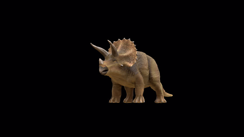 Triceratops Dinosaur eat loop 3D Video Transparent Alpha Animation