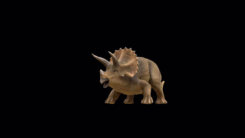 Triceratops Dinosaur attacking 3D Video Transparent Alpha Animation