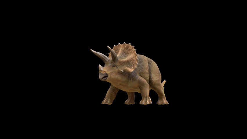 Triceratops Dinosaur attack 3D Video Transparent Alpha Animation