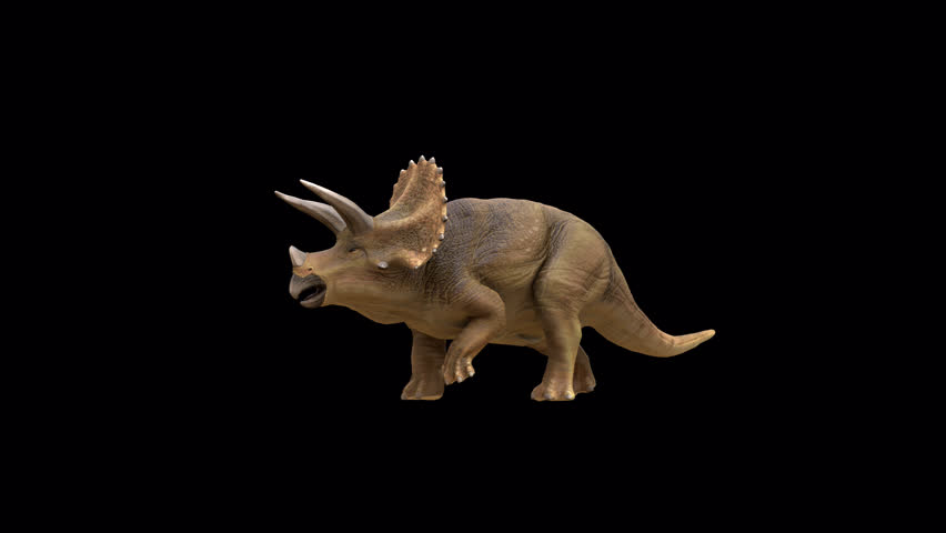 Triceratops Dinosaur walk loop 3D Video Transparent Alpha Animation