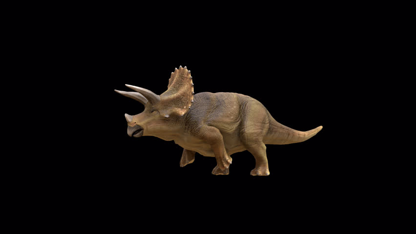 Triceratops Dinosaur run loop 3D Video Transparent Alpha Animation