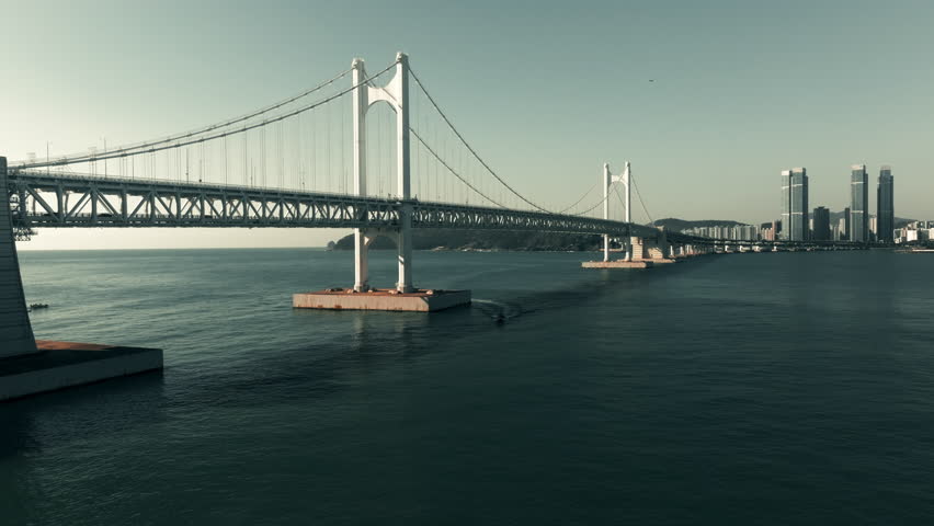 Shutterstock Video