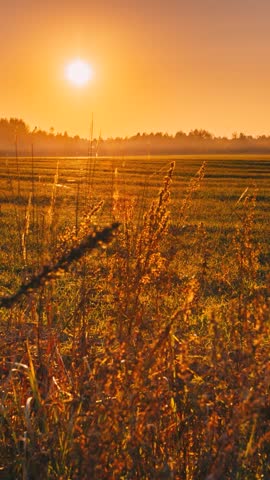 Beautiful autumn field landscape TimeLapse Time-Lapse. Sun Shining During Sunny Sunset Evening. Calm Country landscape meadow field. sunset sun sunshine shine light. Countryside Rural Landscape.