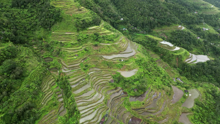 Aerial view of picturesque Rice Terraces in Philippines, 4k