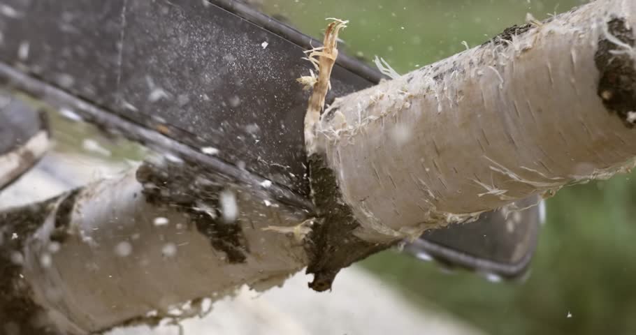 Woodcutter saws tree with electric chain saw on sawmill. Chainsaw used in activities such as free falling, pruning, cutting fire breaks, and harvesting of firewood. Shot on super slow motion 1000 fps