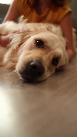 A cheerful teen girl is lying on the floor, playfully petting a golden retriever. Their cozy living room setting creates a warm atmosphere filled with joy and companionship.