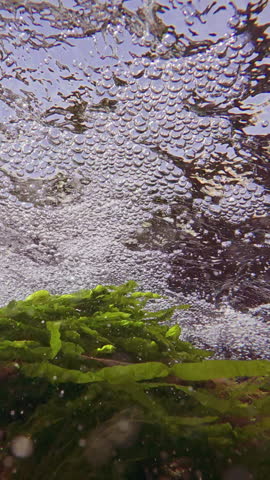 Vertical footage, A rushing stream of air bubbles rushes under the surface of a mountain stream over green and red algae, slow motion, close-up.