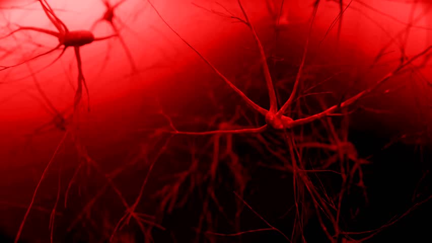 Neural Synapse 3D Animation Visualizing Brain Connectivity and Communication - Powered by Shutterstock - Get 15% off with code: PIKWIZARD15