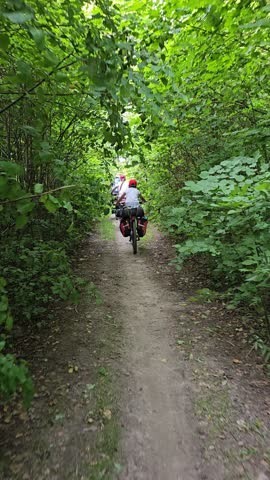 
family riding a bicycle along a forest road, long-distance bicycle trip, loaded bike