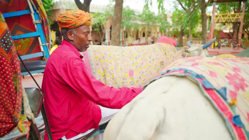 Colorful Wagon Move Through Festival Ground, Turbaned Man Drives Decorated Bull Cart at Fair, Folk Celebration Shows Vibrant Rural Transport, Villager Leads Bullock Chariot in Cultural Event, Heritage