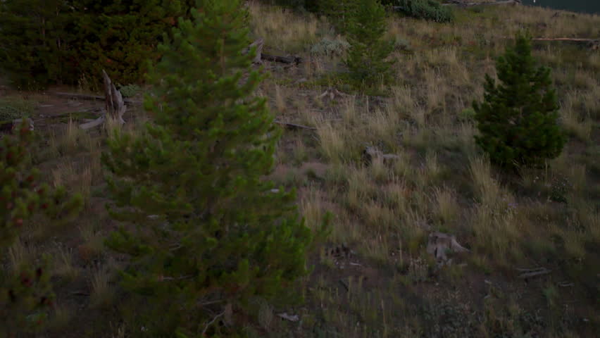 Exploring the serene beauty of Colorado