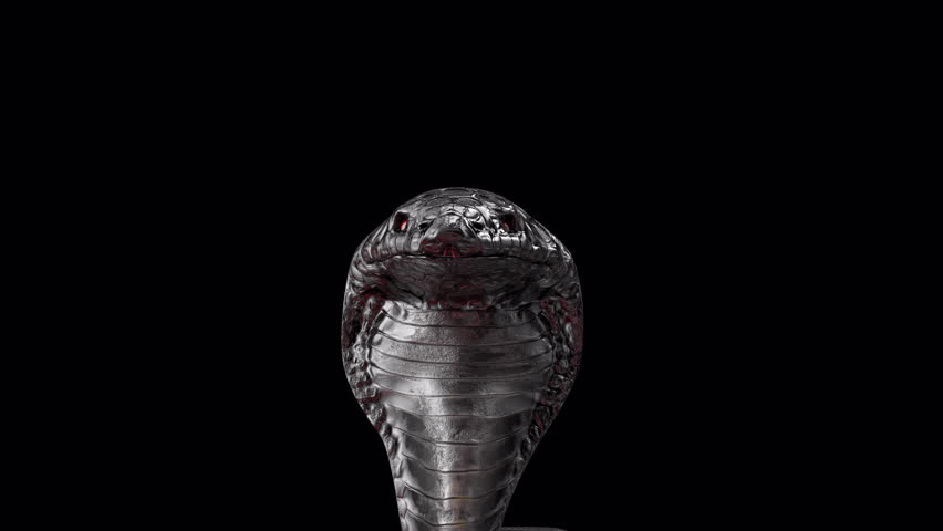 Cobra snake Motion Graphics 3D Video Transparent Alpha Animation