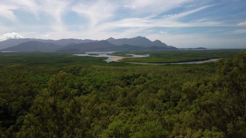 Pristine Beautiful Australian Coastal Landcape with mangroves, rivers and islands - Hinchinbrook Island Nationalpark from Above with blue sky