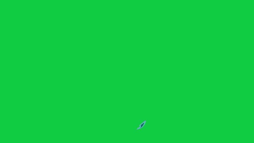 Shutterstock Video