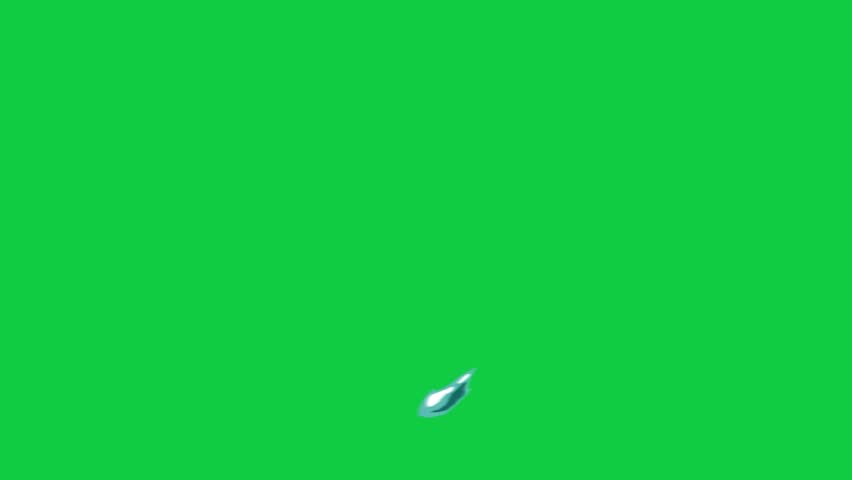 Shutterstock Video