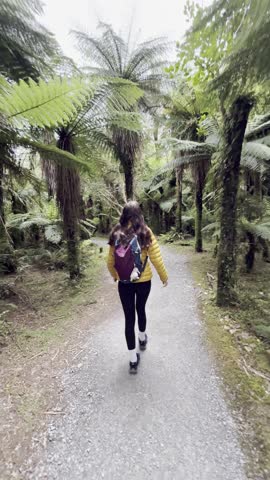 A girl in a yellow jacket with a backpack walks through magical, fairytale rainforest, densely covered with tree ferns - Roaring billy falls, Mount Aspiring National park, New Zealand south island