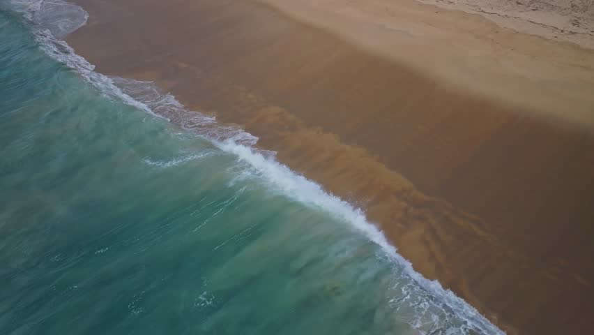 Beautiful sea summer landscape, Waves sea water surface High quality video Bird